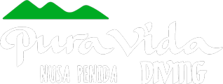 Logo de Pura Vida Nusa Penida Diving